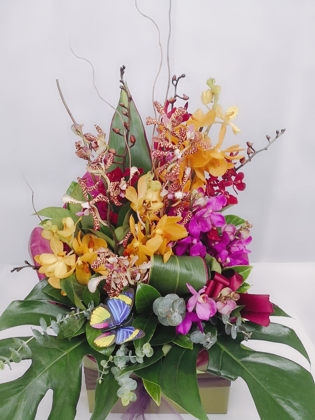 Orchid mix box